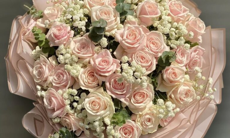 Hoa hồng pastel: Ý nghĩa, Cách trồng và Chăm sóc